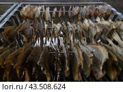 Заготовка рыбной продукции на рыболовецком судне в Баренцевом море. Стоковое фото, фотограф Николай Гернет / Фотобанк Лори