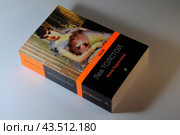Лев Толстой, "Анна Каренина", обложка книги 2021 года издания крупным планом. Редакционное фото, фотограф Татьяна Костенко / Фотобанк Лори