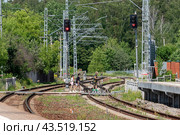 Дети с собакой переходят железную дорогу по пешеходному переходу. Село Ромашково Одинцовского района Московской области (2024 год). Редакционное фото, фотограф Румянцева Наталия / Фотобанк Лори