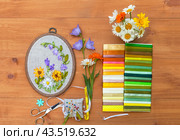 Top view of floral hand embroidery with satin ribbons of summer flowers in hoop and accessories for embroidery. Bouquet of daisies, calendula and blue bells on wooden background. Flat lay, close-up. Стоковое фото, фотограф Виктория Катьянова / Фотобанк Лори
