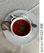 Борщ с черным хлебом и салом. Стоковое фото, фотограф Алия Мокрая / Фотобанк Лори