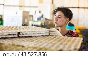 Experienced woman taking out trays with earth and seeds from automatic filling and seeding line for growing containerized seedlings of decorative plants in greenhouse. Стоковое фото, фотограф Яков Филимонов / Фотобанк Лори