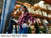 Thoughtful female storekeeper looking for tedious goods in building materials warehouse indoor. Стоковое фото, фотограф Яков Филимонов / Фотобанк Лори
