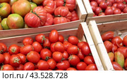 Ripe red tomatoes arranged in crates offered for sale at market counter. Concept of quality organic and farm-grown products. Стоковое видео, видеограф Яков Филимонов / Фотобанк Лори
