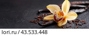 Single Yellow Orchid With Vanilla Beans and Pods on Black Surface. Стоковое AI-изображение, AI-художник Юлия Гапеенко / Фотобанк Лори