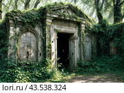 The image is of an old, dilapidated structure covered in moss and surrounded by trees. Mystery and secrecy concept. Copy ad text space. Стоковое AI-изображение, AI-художник Aleksandr Golubev / Фотобанк Лори