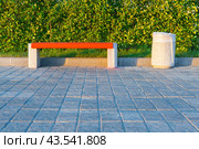 Wooden bench with stone legs and a trash can on the background of a green hedge, illuminated by the evening sun in the park. Стоковое фото, фотограф Михаил Строгалев / Фотобанк Лори