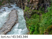 Река с чистой водой вытекает из горного ущелья. Экологически чистая вода стекает с ледника в горах. Природа в горах. Вид на горную реку летом. Стоковое фото, фотограф Эдуард Белкин / Фотобанк Лори