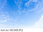 Blue sky with altocumulus clouds texture on a sunny day. Стоковое фото, фотограф EugeneSergeev / Фотобанк Лори