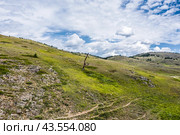 The surroundings of Lake Dzhangyskol. The Altai Republic. Стоковое фото, фотограф Евгений Мухортов / Фотобанк Лори