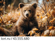 A cute little bear cub sitting among the autumn yellow foliage. Animal hunting. Poaching. Стоковое AI-изображение, AI-художник Photojuli / Фотобанк Лори