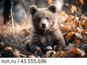A cute little bear cub sitting among the autumn yellow foliage. Animal hunting. Poaching. Стоковое AI-изображение, AI-художник Photojuli / Фотобанк Лори