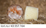 Whole head of ripe country cheese and slices on hay. Стоковое фото, фотограф Татьяна Яцевич / Фотобанк Лори