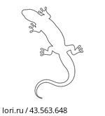 Lizard reptile. Outline silhouette. Design element. illustration on white background. Template for books, stickers, posters, cards, clothes. Стоковое фото, фотограф PlatypusMi86 / Фотобанк Лори