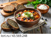 Combined meat hodgepodge with black bread and herbs in a ceramic tureen plate close-up. Стоковое AI-изображение, AI-художник Photojuli / Фотобанк Лори