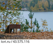 Picnic near water Reservoir in blue sunset. Touristic resort. Holidays theme. The brazier is cooling downю Beautiful natural background. Стоковое фото, фотограф YuryKara / Фотобанк Лори