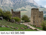 Эгикхал. Село в Ингушетии. (2024 год). Стоковое фото, фотограф Константин Яковлев / Фотобанк Лори