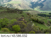Эгикхал. Село в Ингушетии. (2024 год). Стоковое фото, фотограф Константин Яковлев / Фотобанк Лори