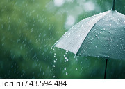Rain Drops on Umbrella. Стоковое AI-изображение, AI-художник Юлия Гапеенко / Фотобанк Лори