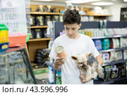 Focused preteen boy choosing canned dog food for Yorkie in pet store. Стоковое фото, фотограф Яков Филимонов / Фотобанк Лори