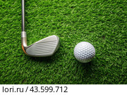 A banner with a view of a green lawn, on which lies a white ball and a metal golf club. An advertisement for a golf game at a country club. Free space for text. Стоковое AI-изображение, AI-художник Photojuli / Фотобанк Лори