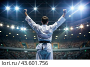 A karate athlete proudly raises his hands in the stadium in the light of spotlights and spotlights after becoming an Olympic champion. Стоковое AI-изображение, AI-художник Photojuli / Фотобанк Лори