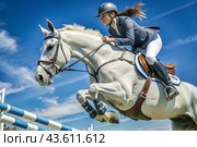 Close-up of an Olympic horse and rider jumping over an obstacle in an open arena, equestrian sport. The concept of the Summer Olympic Games. Стоковое AI-изображение, AI-художник Photojuli / Фотобанк Лори