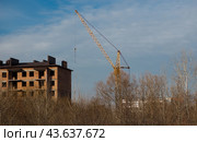 Грузоподъёмный кран на стройке многоэтажного дома. Стоковое фото, фотограф Екатерина Малиева / Фотобанк Лори