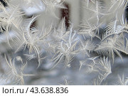 Морозный узор на зимнем оконном стекле.  Frosty pattern at a winter window glass. Стоковое фото, фотограф Лариса Гордеева / Фотобанк Лори