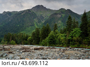 View of the Psysh riverbed in the northern foothills of the Caucasus Mountains near the village of Arkhyz on a sunny summer day, Karachay-Cherkessia, Russia. Стоковое фото, фотограф Ula Ulachka / Фотобанк Лори