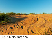 A trace on a sand dune from a passing car. Стоковое фото, фотограф Владимир Ушаров / Фотобанк Лори