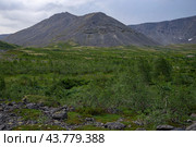 Хибинские горы. Мурманская область (2024 год). Стоковое фото, фотограф Анна Карасева / Фотобанк Лори