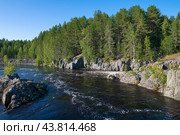 Солнечный июльский день на реке Нижний Выг. Карелия. Стоковое фото, фотограф Виктор Карасев / Фотобанк Лори
