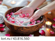 A hand spa, the hands of a beautiful woman in a bowl with water and flowers for skin care. Стоковое AI-изображение, AI-художник Ярославский Максим / Фотобанк Лори
