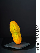 Overripe yellow cucumber on dark background. Стоковое фото, фотограф Татьяна Степанищева / Фотобанк Лори