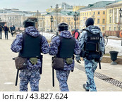 Москва, сотрудники ОМОН на Манежной площади в Москве в марте. Редакционное фото, фотограф Овчинникова Ирина / Фотобанк Лори