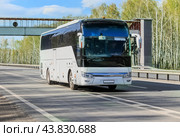 Tourist bus moves along a country highway. Стоковое фото, фотограф Юрий Бизгаймер / Фотобанк Лори