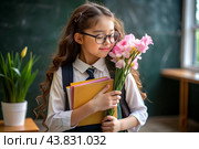 A sweet, beautiful first-grader girl with glasses. In the hands of a bouquet of flowers. The child goes to school for the first time. A child with a backpack, a book and flowers. Back to school. Стоковое AI-изображение, AI-художник Photojuli / Фотобанк Лори