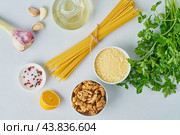 Step by step recipe. Pesto pasta, bavette with walnuts, parsley. Стоковое фото, фотограф Natalia Gdovskaia / Фотобанк Лори