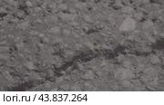 Новый асфальт, щебеночный-мастичный слой, трасса, дорога new asphalt, crushed stone-mastic layer, highway, road. Стоковое видео, видеограф Опока Алексей / Фотобанк Лори