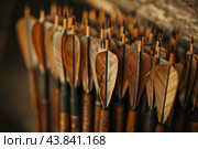 Traditional archery arrows with feather fletching. Стоковое AI-изображение, AI-художник Иван Рябоконь / Фотобанк Лори