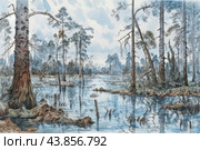 A forest landscape with a marshy area. The focus is on a large pine tree with exposed roots, partially submerged in water. The water reflects the surrounding trees and sky, creating a sense of calm and silence. In the background, numerous pine trees are visible growing in a marshy area, with exposed branches and sparse foliage. Clouds in the sky give the scene a soft light, creating an atmosphere of coolness and freshness. The water in the marsh is clear, with underwater plants and driftwood visible, emphasizing the natural beauty and wild character of the place. Стоковое AI-изображение, AI-художник Анна Кривицкая / Фотобанк Лори