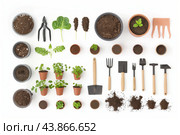 An Organized Collection of Gardening Tools and Seedling Pots for Spring Planting Activities. Стоковое AI-изображение, AI-художник Сергей Толмачёв / Фотобанк Лори
