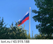 Развевающийся Государственный флаг Российской Федерации (Флаг России) на фоне голубого неба с облаками. Вид из парка 300-летия Санкт-Петербурга. (2024 год). Стоковое фото, фотограф Елена Яворская / Фотобанк Лори