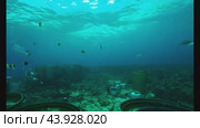 Toxic barrels contaminating ocean floor. Стоковое видео, видеограф Данил Руденко / Фотобанк Лори