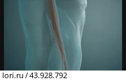 3d visualization of human nervous system and spine anatomy. Стоковое AI-видео, аниматор Данил Руденко / Фотобанк Лори