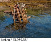 Старая затонувшая лодка в воде. Кладбище кораблей в Териберке. Стоковое фото, фотограф Анна Шейко / Фотобанк Лори