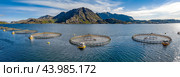Farm salmon fishing in Norway (2019 год). Стоковое фото, фотограф Андрей Армягов / Фотобанк Лори