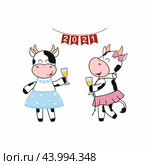 Two funny cow girls celebrate the new year on the background of a sign with flags 2021. Bull drinks champagne. The symbol of new year according to the Chinese horoscope. Vector cartoon illustration. Стоковая иллюстрация, иллюстратор Полина Екимова / Фотобанк Лори