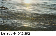 Солнечные зайчики на поверхности озера и рябь на воде создают прекрасную картину. Стоковое видео, видеограф Александр Бушков / Фотобанк Лори